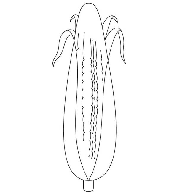 Field corn coloring page